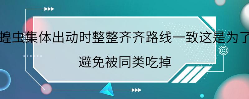 蝗虫集体出动时整整齐齐路线一致这是为了 避免被同类吃掉