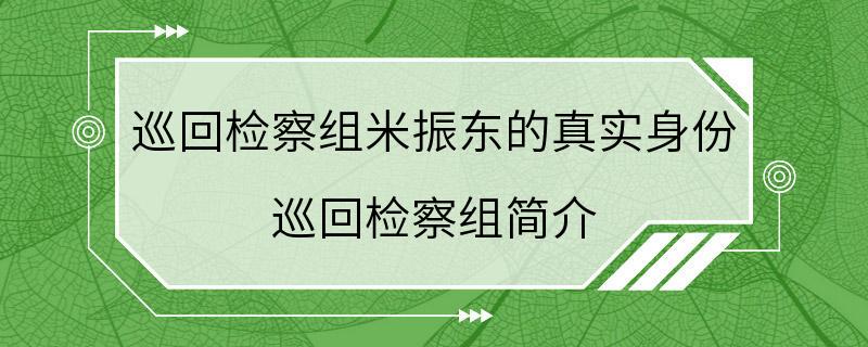 巡回检察组米振东的真实身份 巡回检察组简介