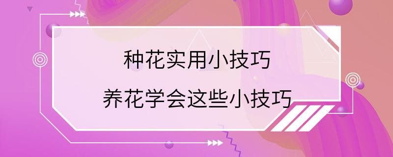 种花实用小技巧 养花学会这些小技巧