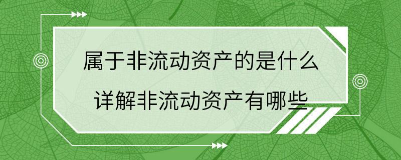 属于非流动资产的是什么 详解非流动资产有哪些