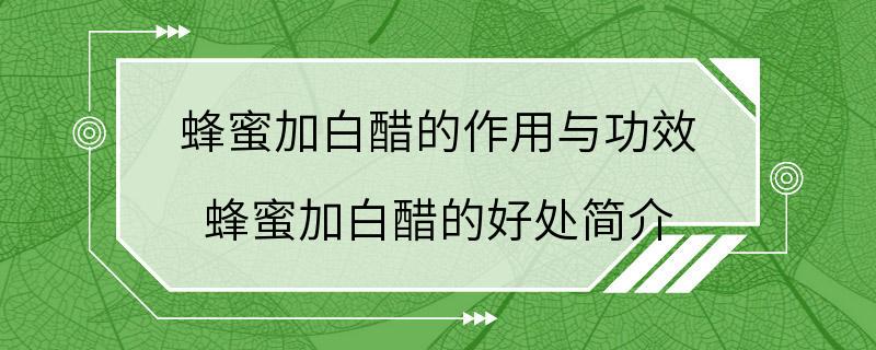 蜂蜜加白醋的作用与功效 蜂蜜加白醋的好处简介