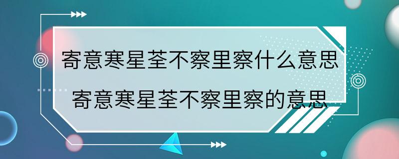 寄意寒星荃不察里察什么意思 寄意寒星荃不察里察的意思