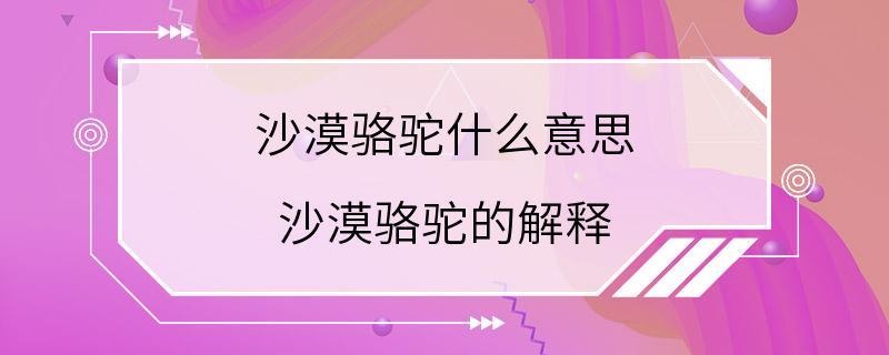 沙漠骆驼什么意思 沙漠骆驼的解释