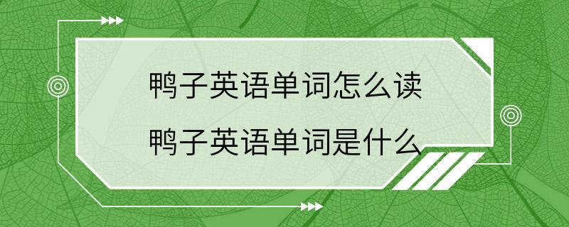 鸭子英语单词怎么读 鸭子英语单词是什么