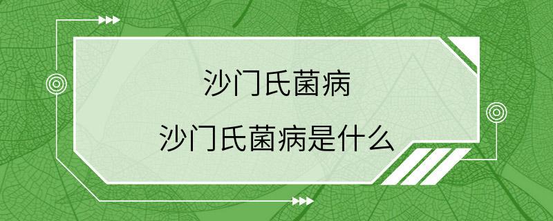 沙门氏菌病 沙门氏菌病是什么