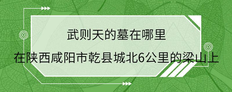 武则天的墓在哪里 在陕西咸阳市乾县城北6公里的梁山上