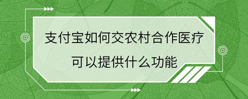 支付宝如何交农村合作医疗 可以提供什么功能