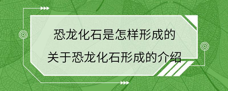 恐龙化石是怎样形成的 关于恐龙化石形成的介绍