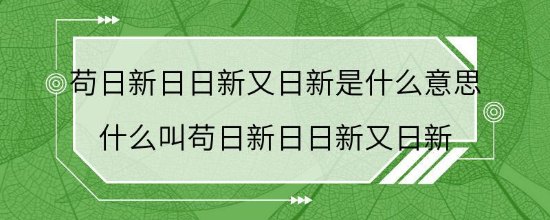 苟日新日日新又日新是什么意思 什么叫苟日新日日新又日新