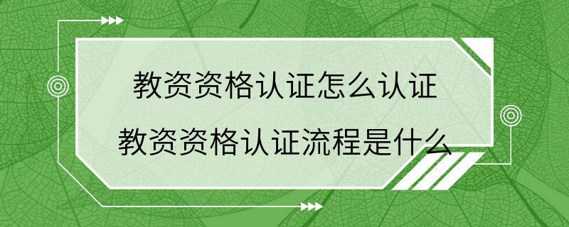 教资资格认证怎么认证 教资资格认证流程是什么