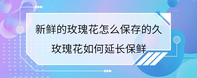 新鲜的玫瑰花怎么保存的久 玫瑰花如何延长保鲜