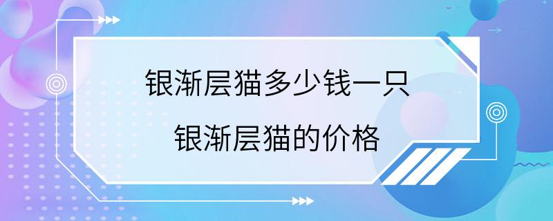 银渐层猫多少钱一只 银渐层猫的价格