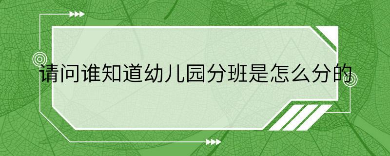 请问谁知道幼儿园分班是怎么分的