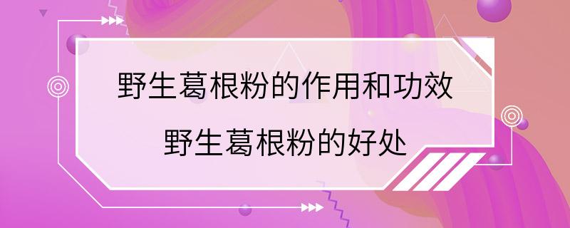 野生葛根粉的作用和功效 野生葛根粉的好处