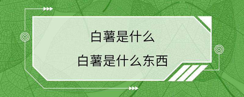 白薯是什么 白薯是什么东西