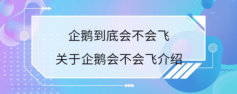 企鹅到底会不会飞 关于企鹅会不会飞介绍