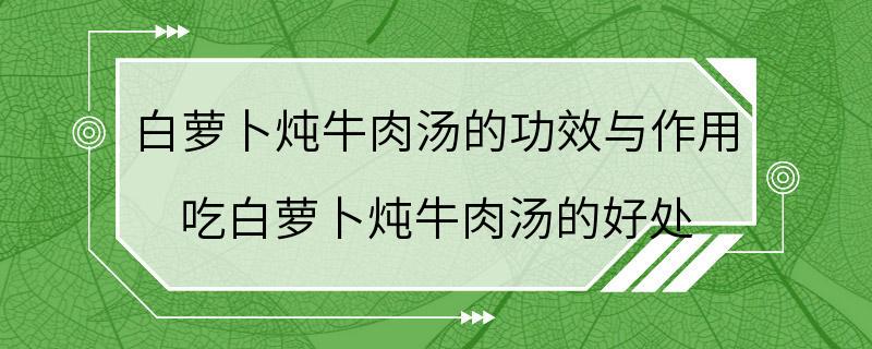 白萝卜炖牛肉汤的功效与作用 吃白萝卜炖牛肉汤的好处