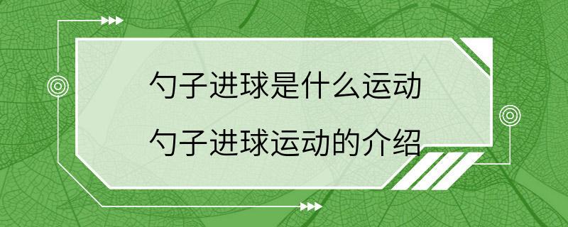 勺子进球是什么运动 勺子进球运动的介绍