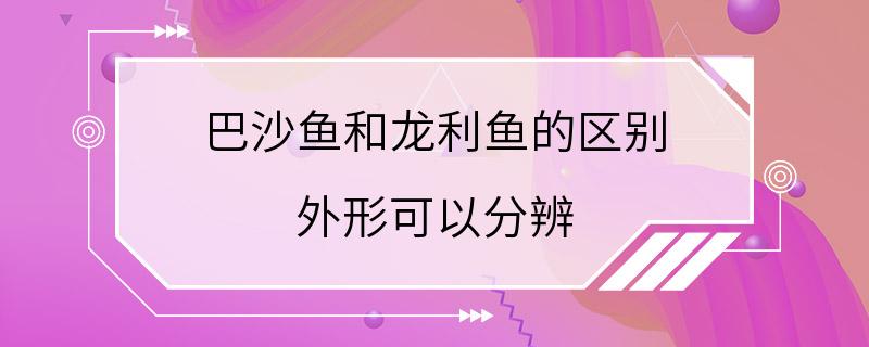 巴沙鱼和龙利鱼的区别 外形可以分辨