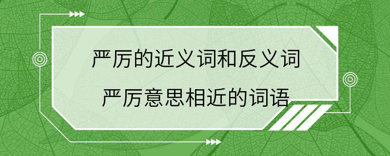 严厉的近义词和反义词 严厉意思相近的词语