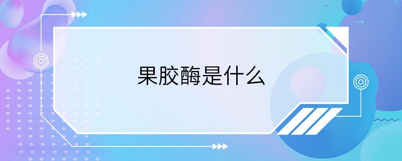 果胶酶是什么