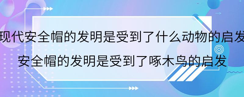 现代安全帽的发明是受到了什么动物的启发 安全帽的发明是受到了啄木鸟的启发