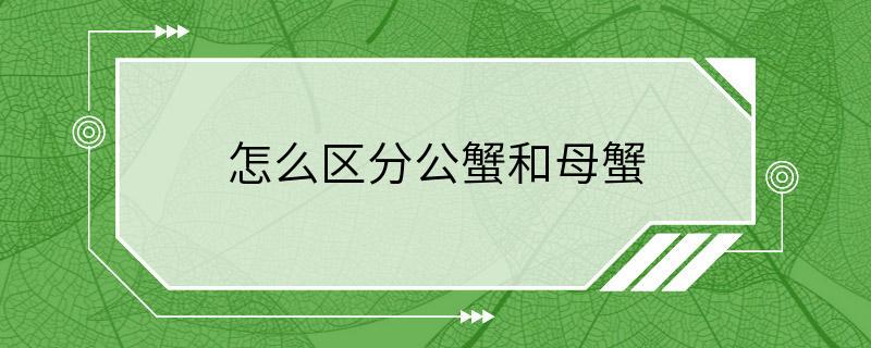 怎么区分公蟹和母蟹