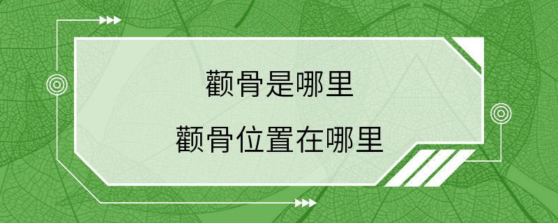 颧骨是哪里 颧骨位置在哪里