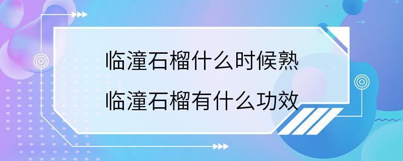 临潼石榴什么时候熟 临潼石榴有什么功效