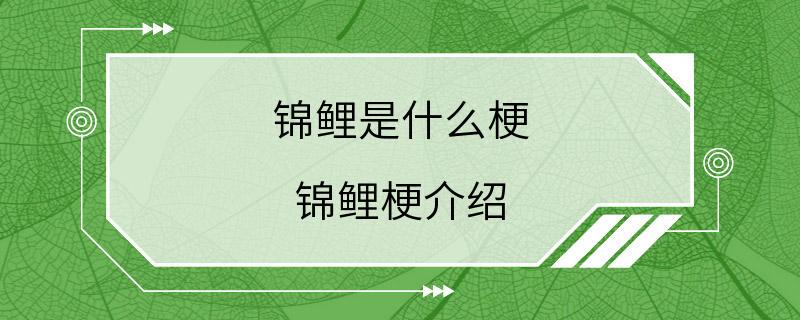 锦鲤是什么梗 锦鲤梗介绍