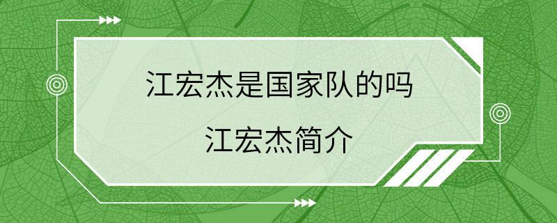 江宏杰是国家队的吗 江宏杰简介