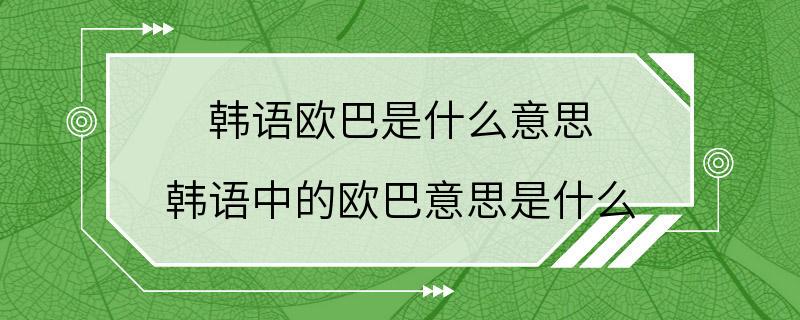 韩语欧巴是什么意思 韩语中的欧巴意思是什么