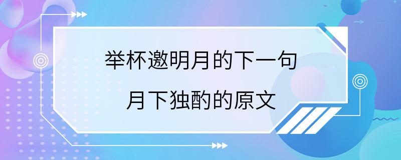 举杯邀明月的下一句 月下独酌的原文