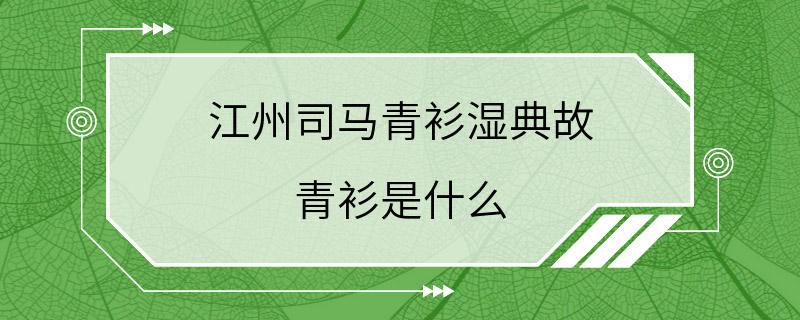 江州司马青衫湿典故 青衫是什么