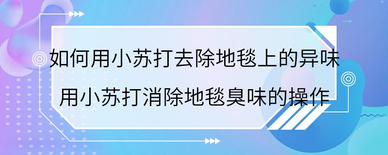 如何用小苏打去除地毯上的异味 用小苏打消除地毯臭味的操作