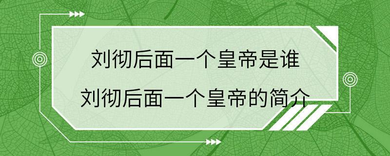 刘彻后面一个皇帝是谁 刘彻后面一个皇帝的简介