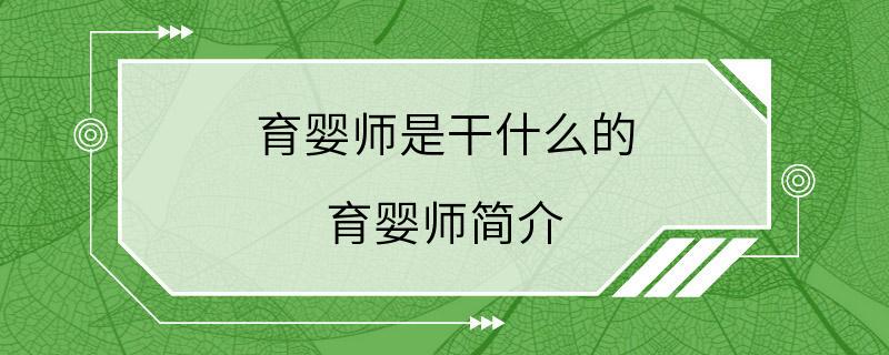 育婴师是干什么的 育婴师简介