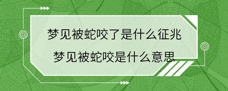 梦见被蛇咬了是什么征兆 梦见被蛇咬是什么意思