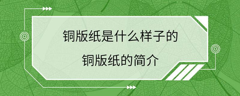 铜版纸是什么样子的 铜版纸的简介