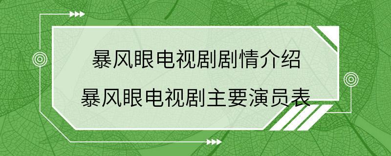 暴风眼电视剧剧情介绍 暴风眼电视剧主要演员表