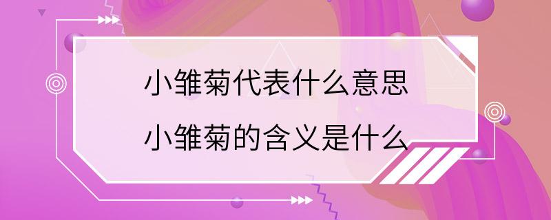 小雏菊代表什么意思 小雏菊的含义是什么