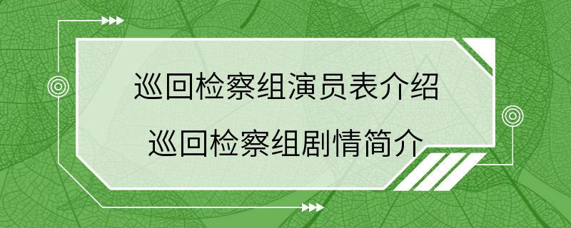 巡回检察组演员表介绍 巡回检察组剧情简介