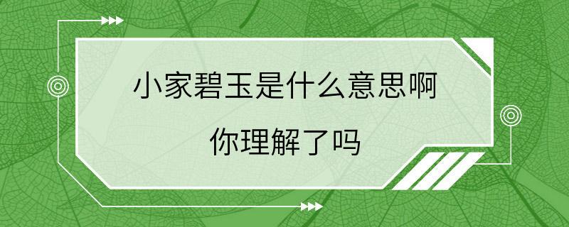 小家碧玉是什么意思啊 你理解了吗