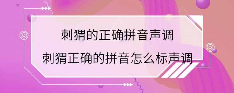 刺猬的正确拼音声调 刺猬正确的拼音怎么标声调