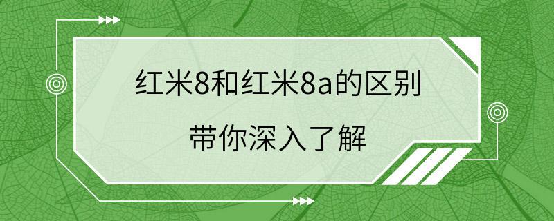 红米8和红米8a的区别 带你深入了解