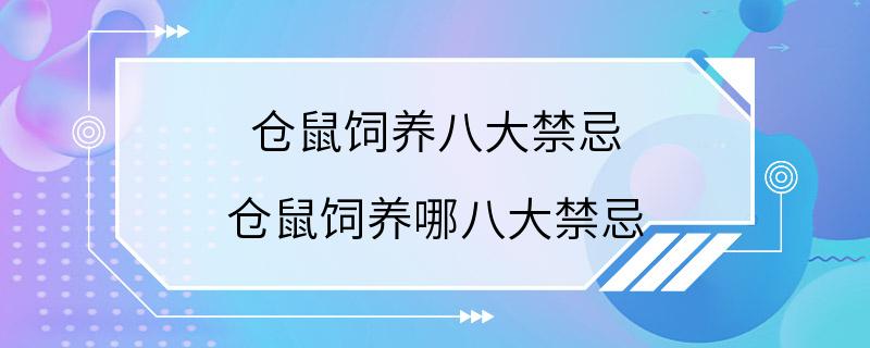 仓鼠饲养八大禁忌 仓鼠饲养哪八大禁忌