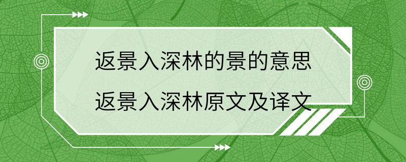 返景入深林的景的意思 返景入深林原文及译文