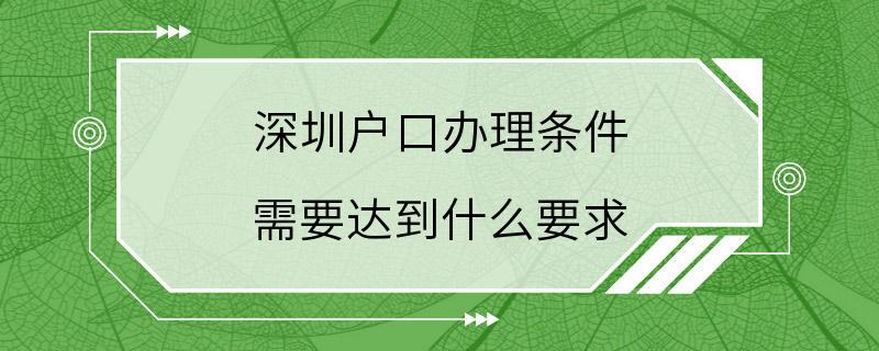 深圳户口办理条件 需要达到什么要求