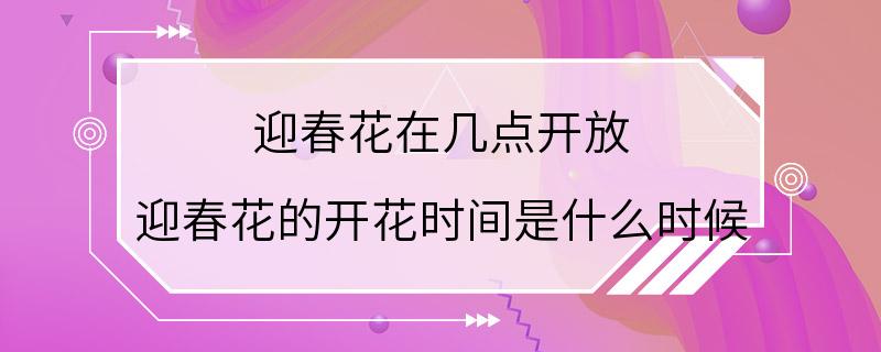 迎春花在几点开放 迎春花的开花时间是什么时候