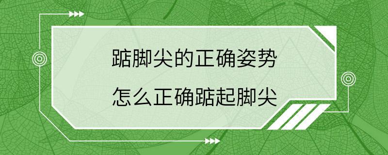 踮脚尖的正确姿势 怎么正确踮起脚尖